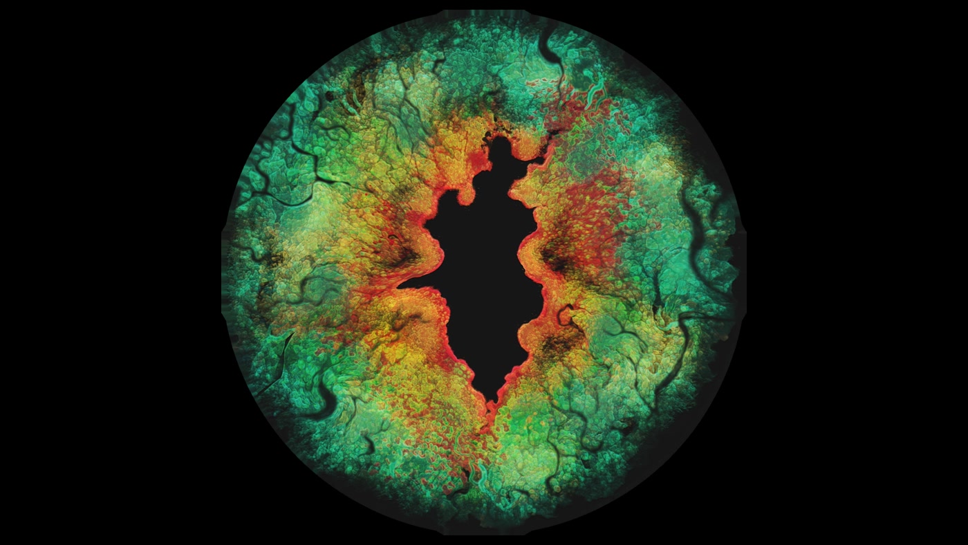 High-detail dragon iris material for the close-ups